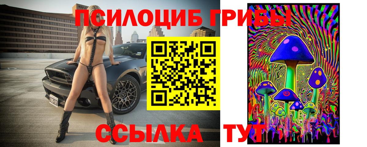 Галлюциногенные грибы Psilocybine cubensis Минусинск