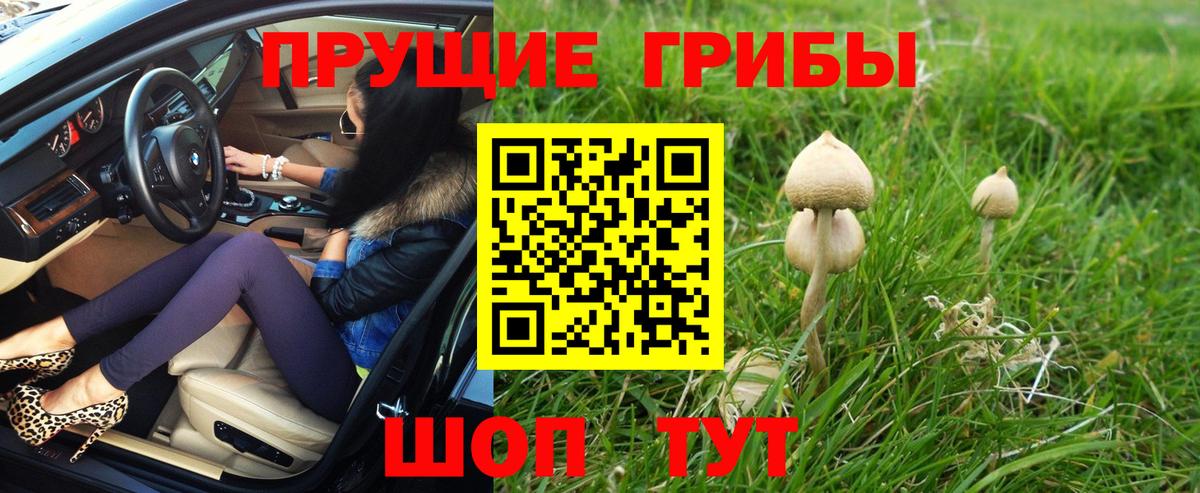 Псилоцибиновые грибы MAGIC MUSHROOMS  Вход с VPN  Минусинск 